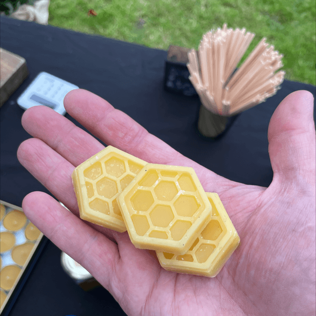 Wax Melts x 3