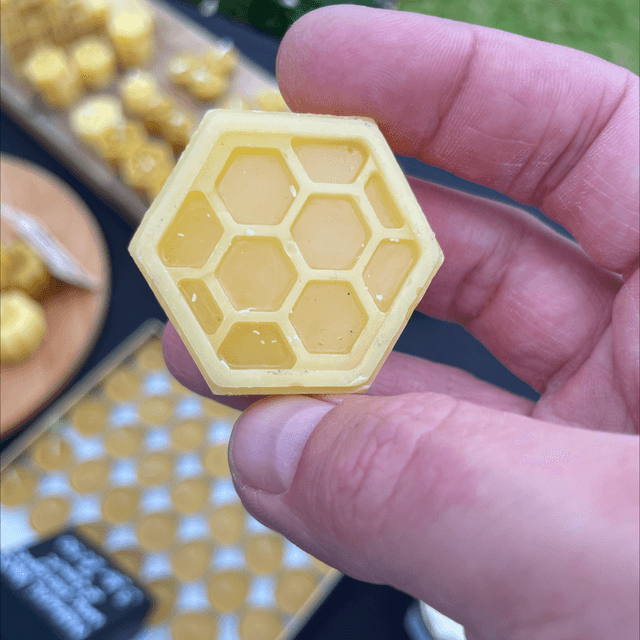 Wax Melt - Single 